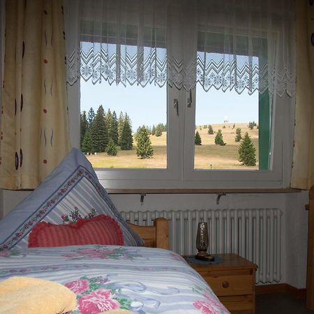 Berggasthof-Pension Todtnauer Hutte Фелдберг Екстериор снимка