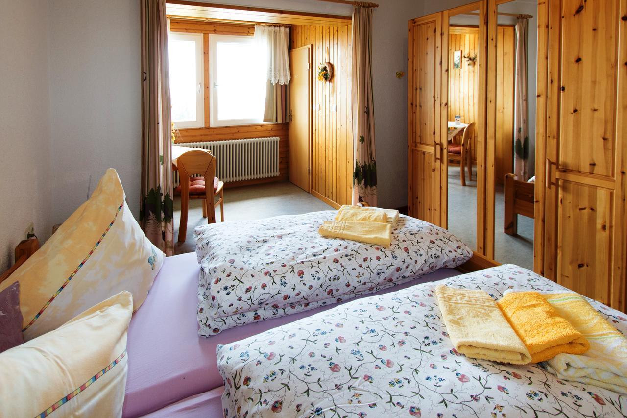 Berggasthof-Pension Todtnauer Hutte Фелдберг Екстериор снимка