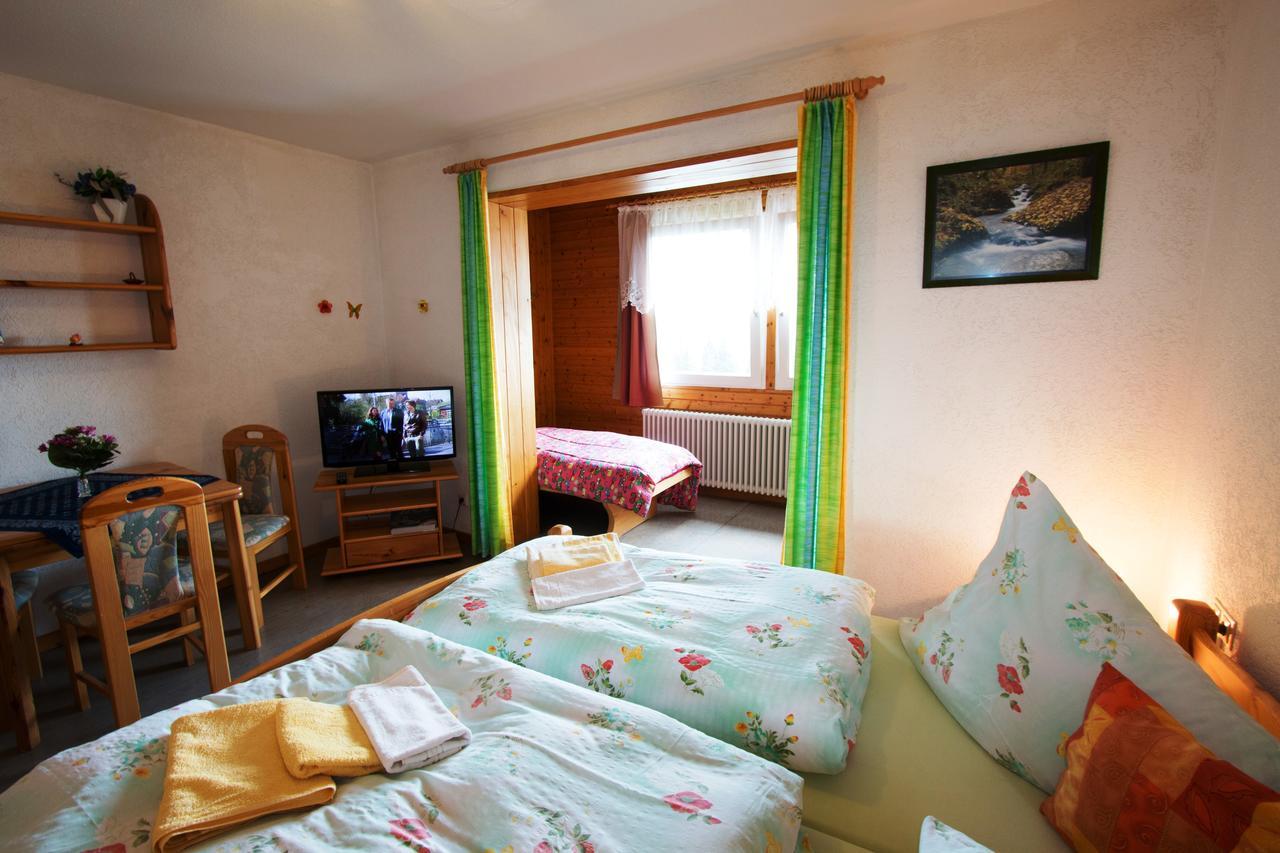 Berggasthof-Pension Todtnauer Hutte Фелдберг Стая снимка