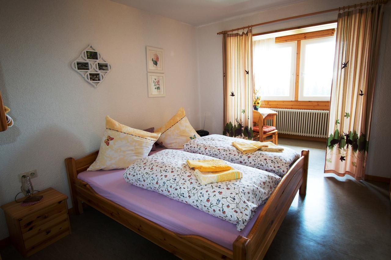 Berggasthof-Pension Todtnauer Hutte Фелдберг Екстериор снимка