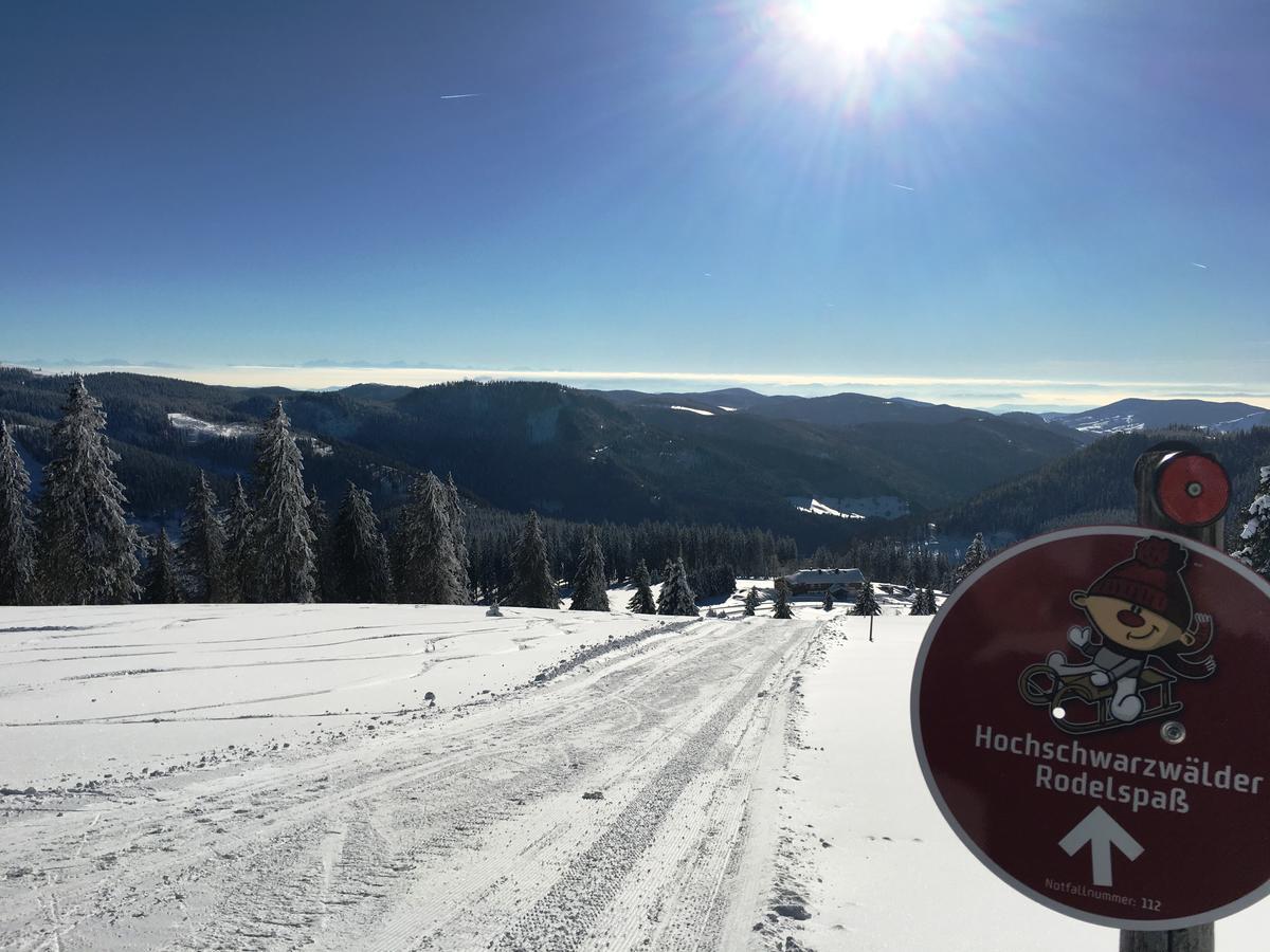 Berggasthof-Pension Todtnauer Hutte Фелдберг Екстериор снимка
