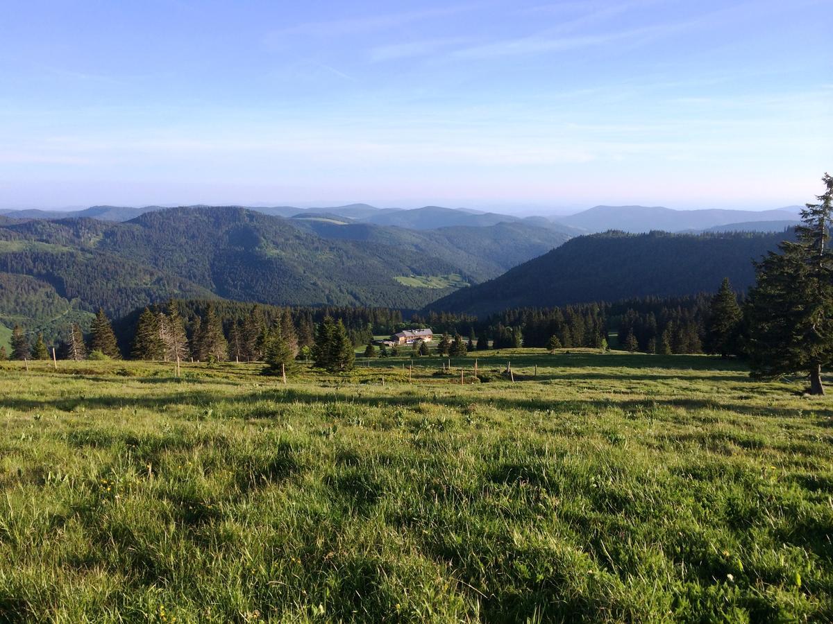 Berggasthof-Pension Todtnauer Hutte Фелдберг Екстериор снимка