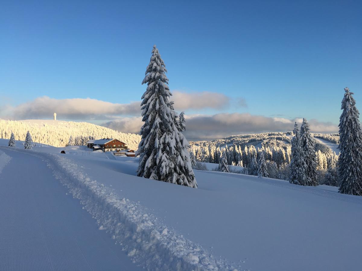 Berggasthof-Pension Todtnauer Hutte Фелдберг Екстериор снимка