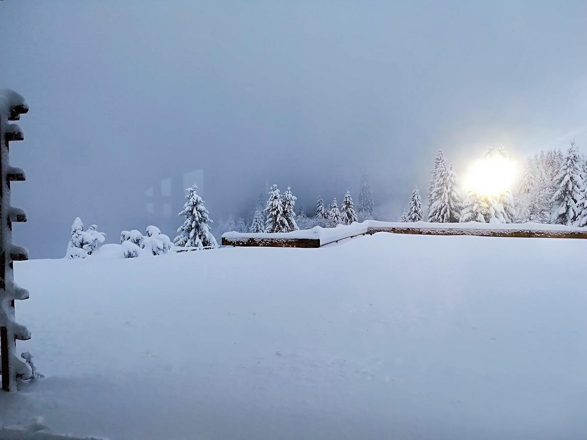 Berggasthof-Pension Todtnauer Hutte Фелдберг Екстериор снимка