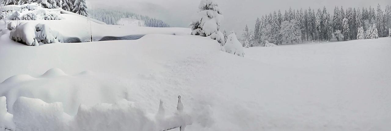 Berggasthof-Pension Todtnauer Hutte Фелдберг Екстериор снимка